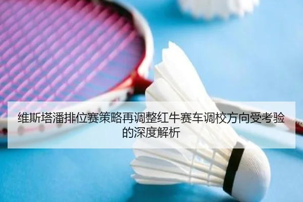 维斯塔潘排位赛策略再调整红牛赛车调校方向受考验的深度解析